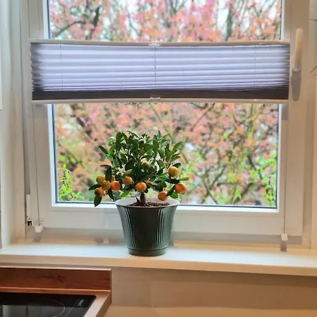 Fleiger 3 In Zentrum